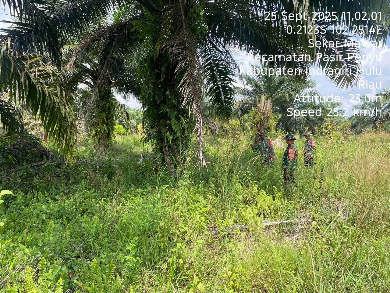 IMG-20250925-WA0019