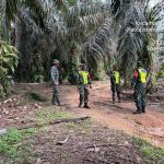 IMG-20251027-WA0024(1)