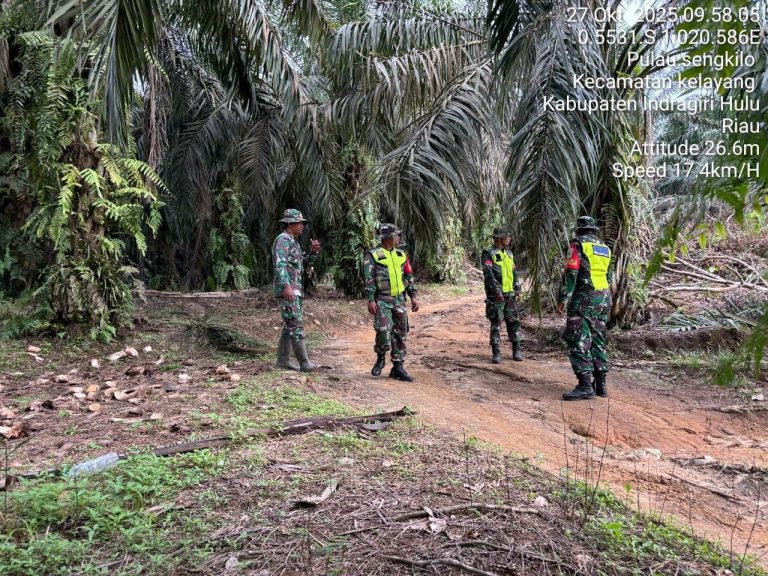 IMG-20251027-WA0024(1)