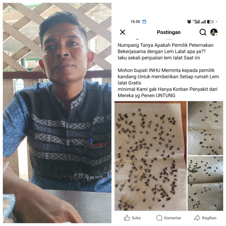 GridArt_20251117_120442392