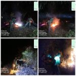 Personel Gabungan Koramil 04/PP Lakukan Pemadaman Karhutla di Desa Pasir Beringin