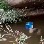 Warga Serumpun Jaya Ditemukan Mengapung di Bawah Jembatan Desa Lubuk Batu Jaya Menggunakan Helm