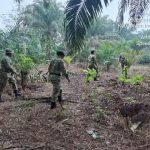 Babinsa Koramil 04/PP Serma Surya HW Beserta Rekan-rekan Babinsa Rutin Melaksanakan Patroli Karhutla di Wilayah Binaan Guna Cegah Kebakaran   