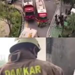 DPKP Terjunkan 6 Unit Damkar, Kebakaran Kantor Kejati Riau, Karpet Sintetis dan Pipa di Lantai 6 Hangus