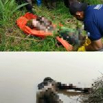 Warga Menemukan Sosok Mayat Pria Tergeletak di Tepi Sungai Indragiri, Ini Keterangan Kasie Humas Polres Inhu